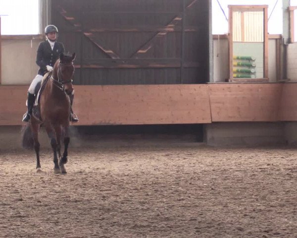 Reitturnier Alt Marl 2018