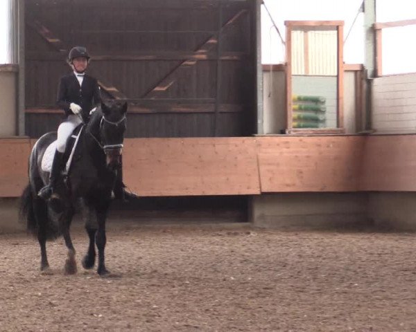 Reitturnier Alt Marl 2018