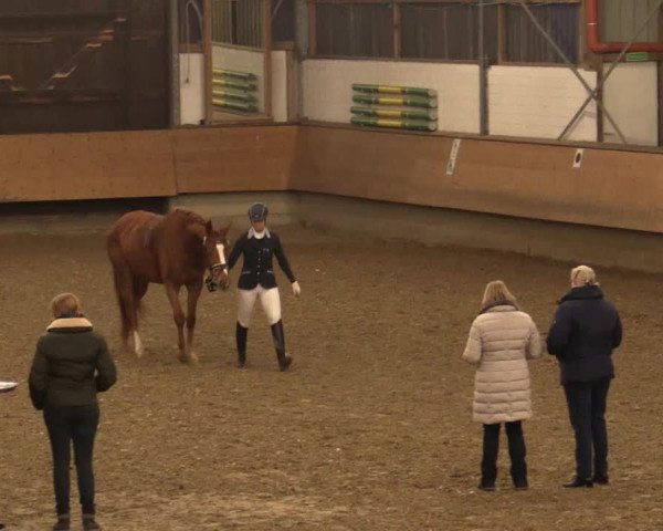 Reitturnier Alt Marl 2018