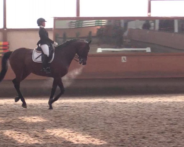 Reitturnier Alt Marl 2018