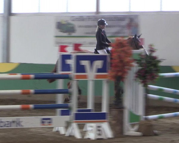 Reitturnier Warendorf-Freckenhorst 2018