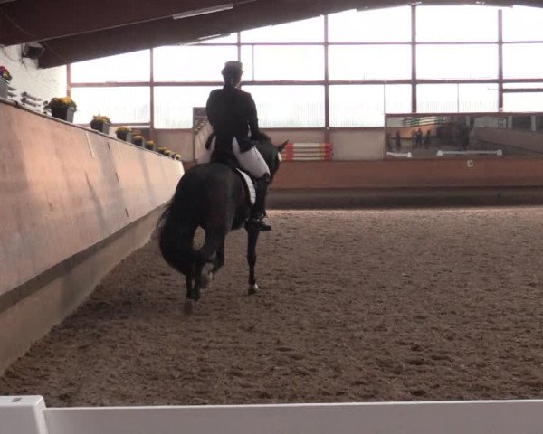 Reitturnier Alt Marl 2018