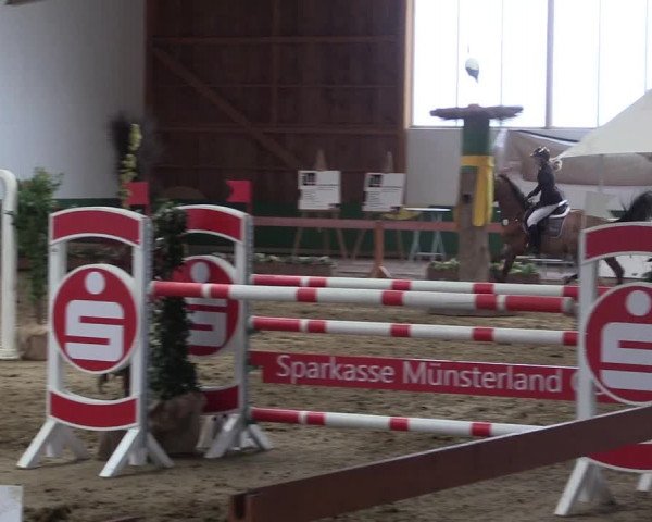 Reitturnier Warendorf-Freckenhorst 2018