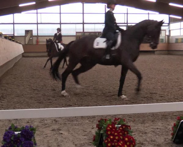 Reitturnier Alt Marl 2018
