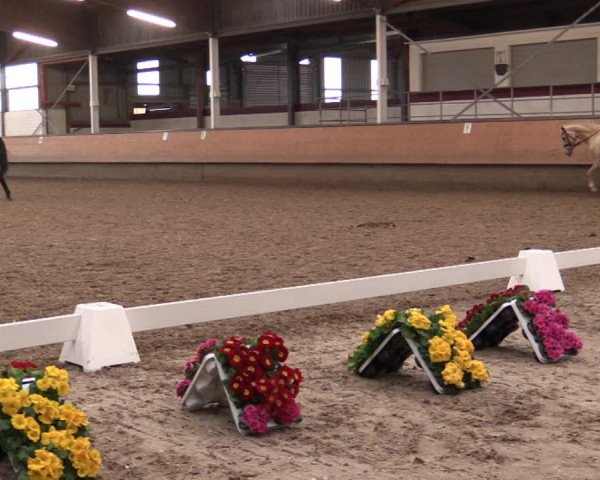 Reitturnier Alt Marl 2018