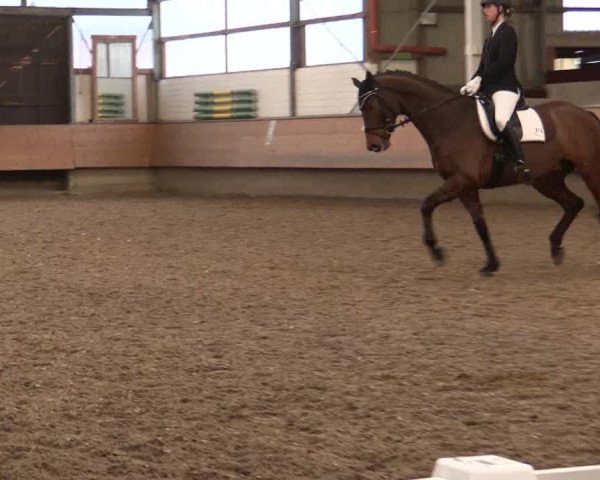 Reitturnier Alt Marl 2018