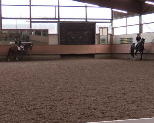 Reitturnier Alt Marl 2018