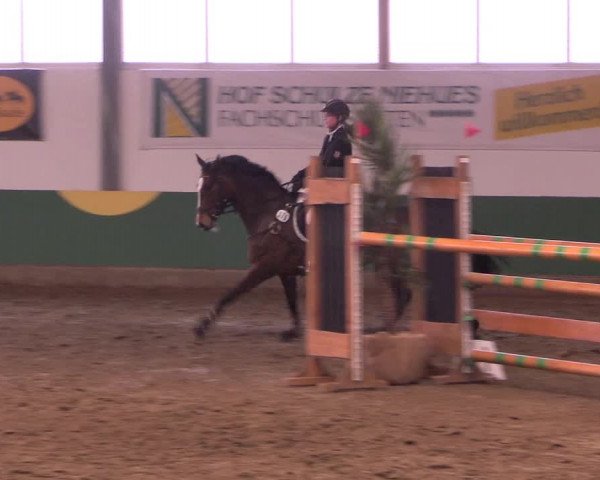Reitturnier Warendorf-Freckenhorst 2018