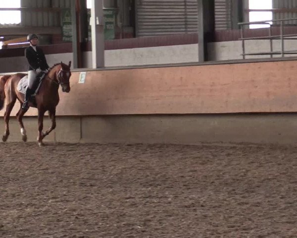 Reitturnier Alt Marl 2018