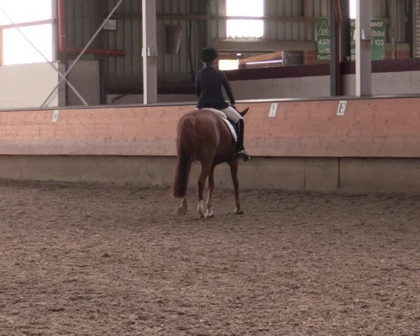 Reitturnier Alt Marl 2018