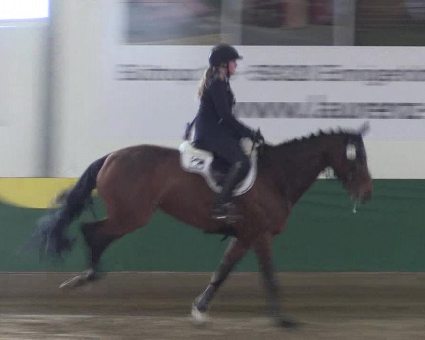 Reitturnier Warendorf-Freckenhorst 2018