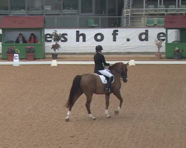 Reitturnier Kreuth 2018