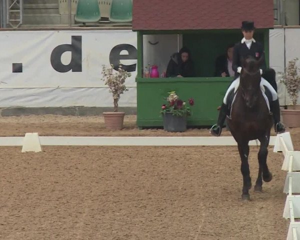 Reitturnier Kreuth 2018