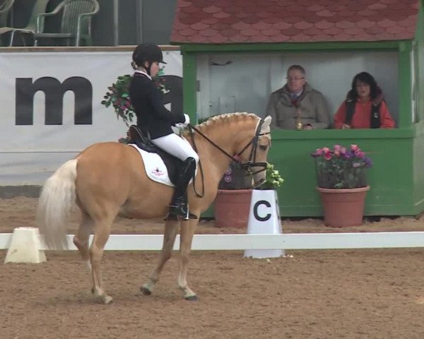 Reitturnier Kreuth 2018