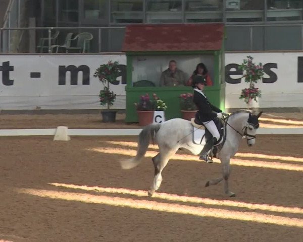 Reitturnier Kreuth 2018