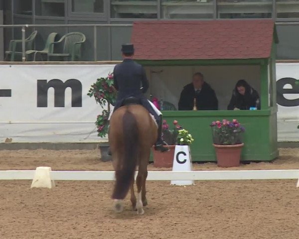 Reitturnier Kreuth 2018