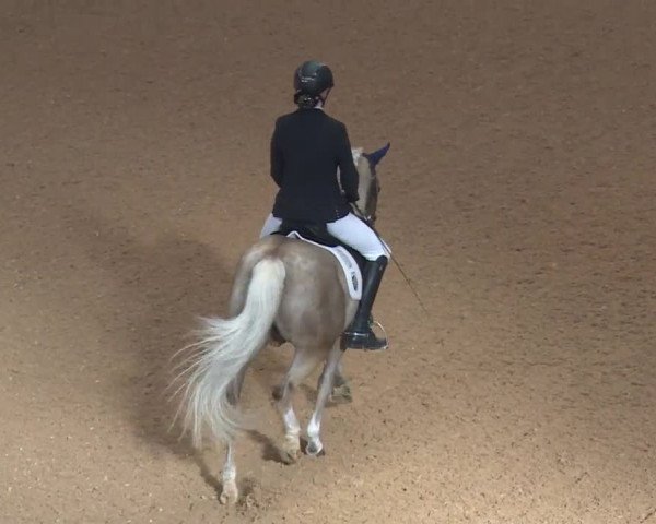 Reitturnier Kreuth 2018