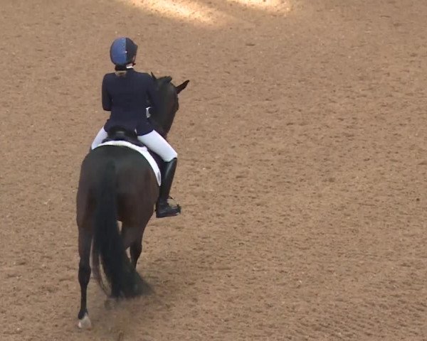Reitturnier Kreuth 2018