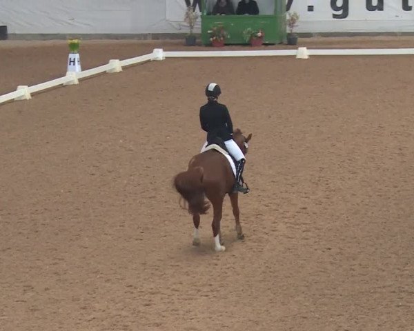 Reitturnier Kreuth 2018