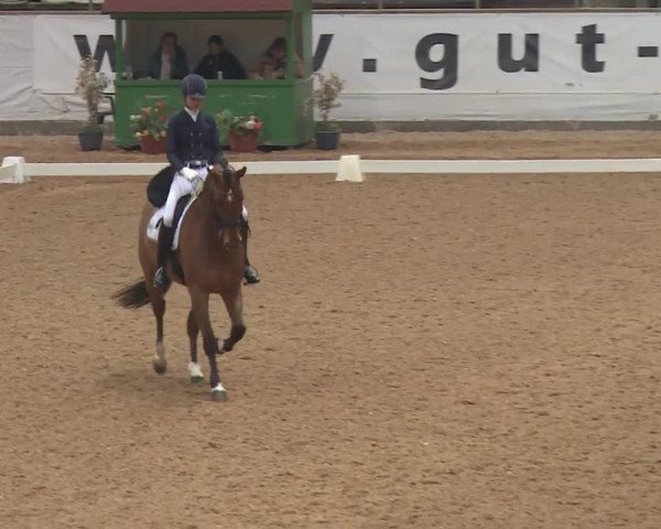 Reitturnier Kreuth 2018