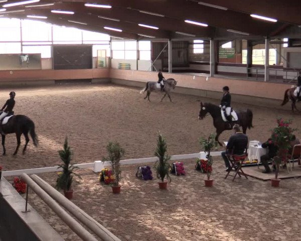 Reitturnier Alt Marl 2018