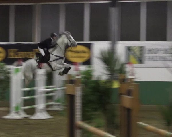 Reitturnier Warendorf-Freckenhorst 2018