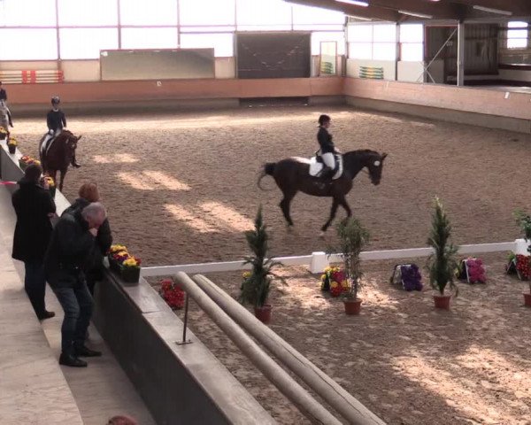 Reitturnier Alt Marl 2018