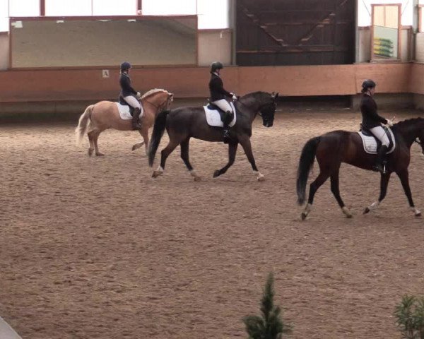 Reitturnier Alt Marl 2018