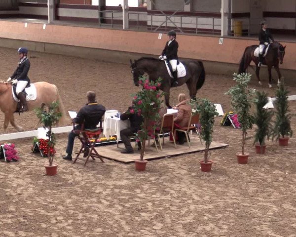 Reitturnier Alt Marl 2018