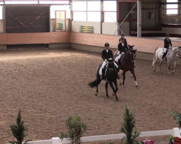 Reitturnier Alt Marl 2018