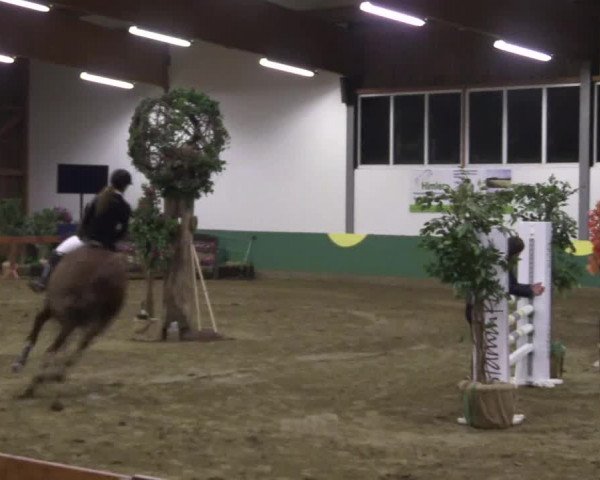 Reitturnier Warendorf-Freckenhorst 2018
