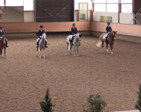 Reitturnier Alt Marl 2018