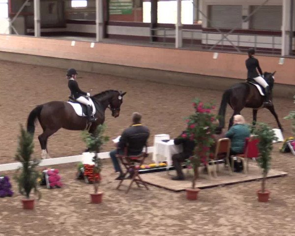 Reitturnier Alt Marl 2018