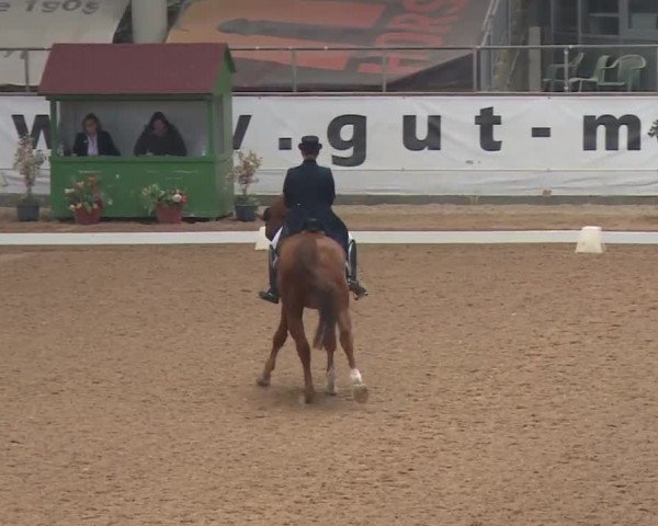 Reitturnier Kreuth 2018