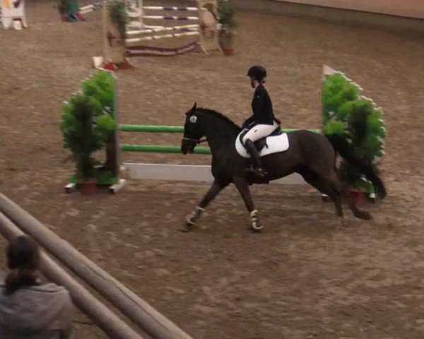 Reitturnier Alt Marl 2018