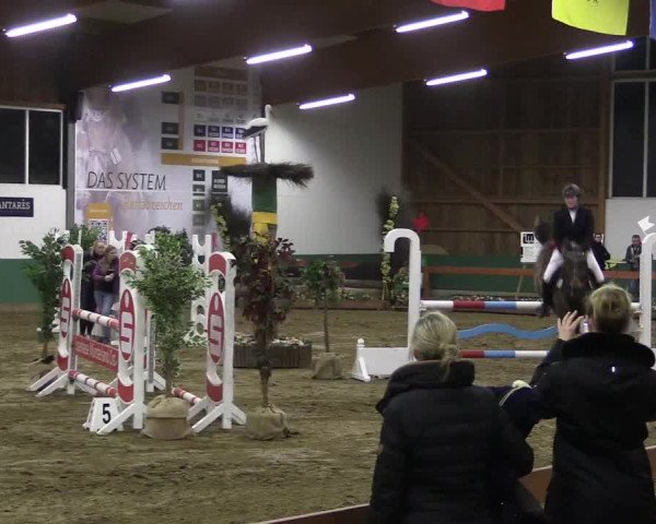 Reitturnier Warendorf-Freckenhorst 2018