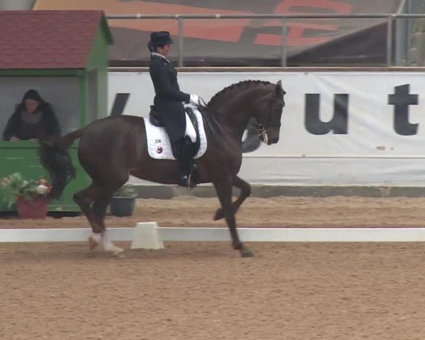Reitturnier Kreuth 2018