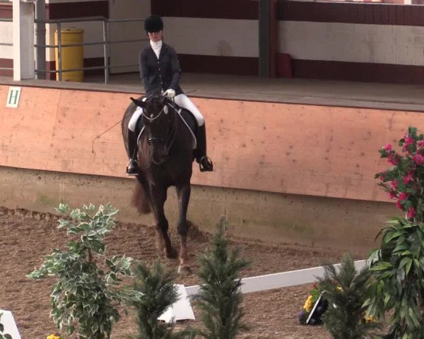 Reitturnier Alt Marl 2018