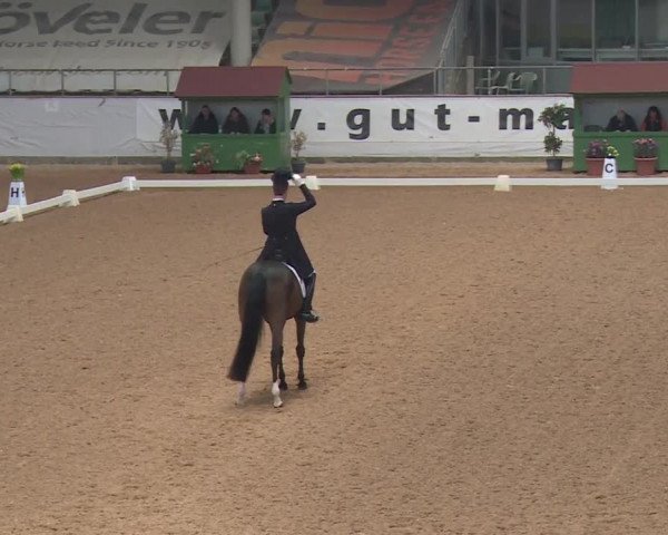 Reitturnier Kreuth 2018