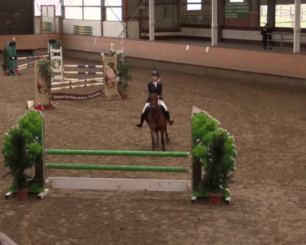 Reitturnier Alt Marl 2018
