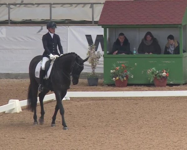 Reitturnier Kreuth 2018