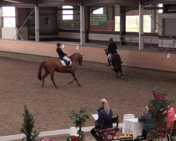 Reitturnier Alt Marl 2018