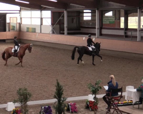 Reitturnier Alt Marl 2018