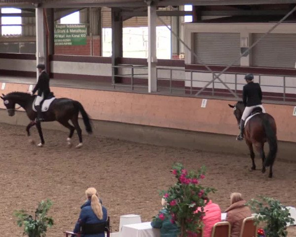 Reitturnier Alt Marl 2018