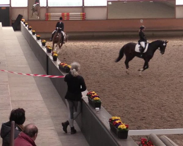 Reitturnier Alt Marl 2018