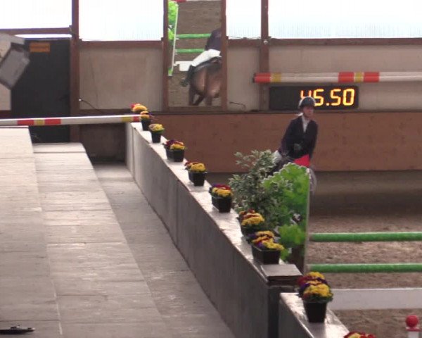 Reitturnier Alt Marl 2018
