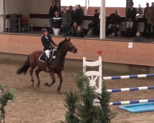 Reitturnier Alt Marl 2018