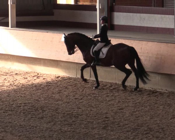 Reitturnier Alt Marl 2018