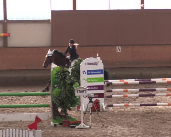 Reitturnier Alt Marl 2018