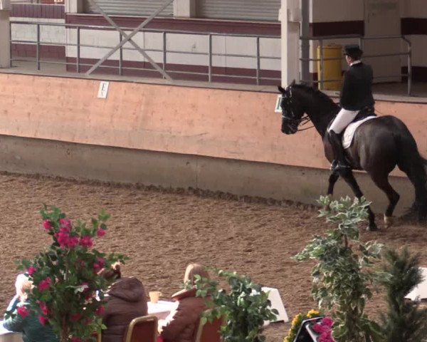 Reitturnier Alt Marl 2018